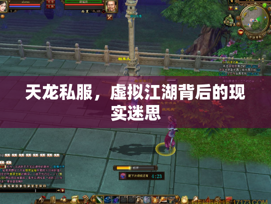 天龙私服，虚拟江湖背后的现实迷思