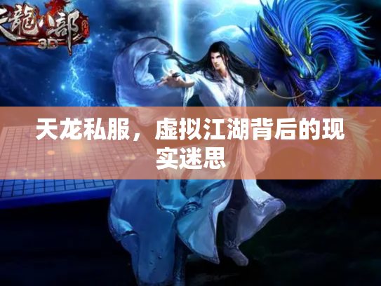 天龙私服，虚拟江湖背后的现实迷思