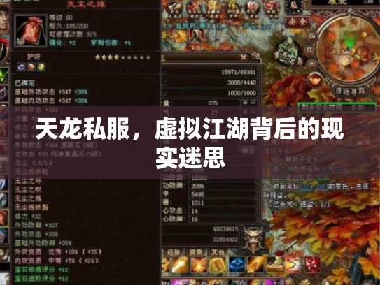 天龙私服，虚拟江湖背后的现实迷思