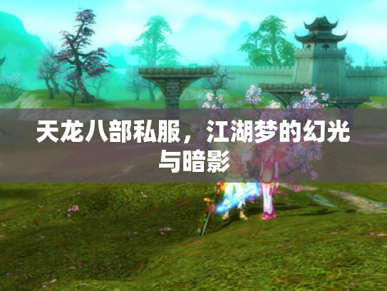 天龙八部私服，江湖梦的幻光与暗影