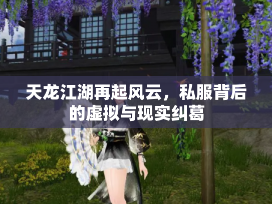 天龙江湖再起风云，私服背后的虚拟与现实纠葛