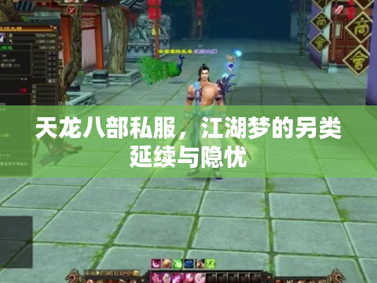天龙八部私服，江湖梦的另类延续与隐忧