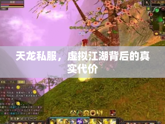 天龙私服，虚拟江湖背后的真实代价