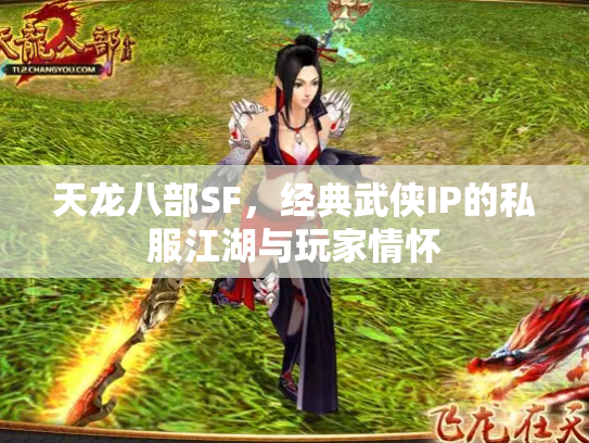 天龙八部SF，经典武侠IP的私服江湖与玩家情怀