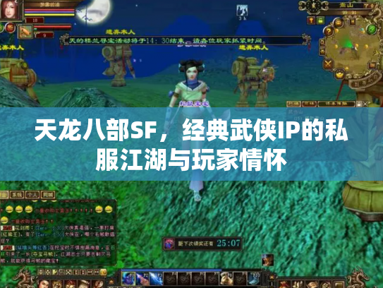 天龙八部SF，经典武侠IP的私服江湖与玩家情怀