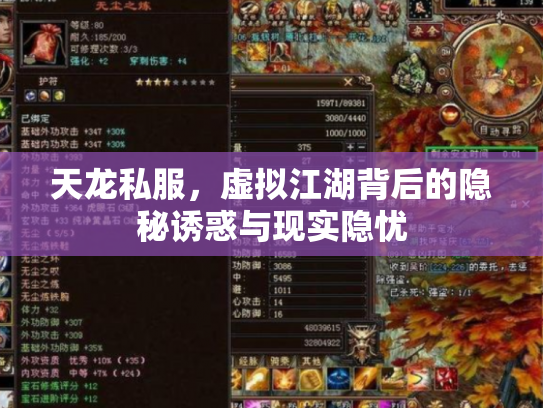 天龙私服，虚拟江湖背后的隐秘诱惑与现实隐忧