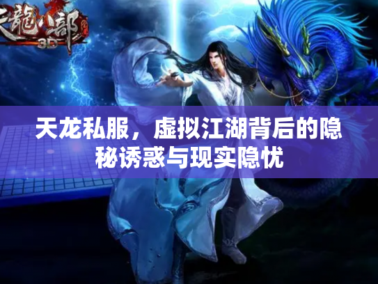 天龙私服，虚拟江湖背后的隐秘诱惑与现实隐忧