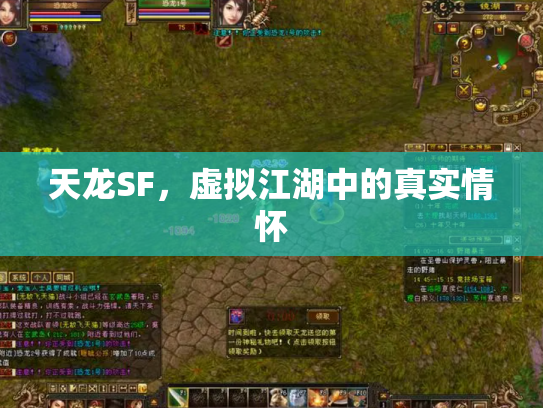 天龙SF，虚拟江湖中的真实情怀