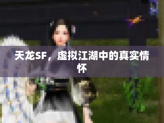 天龙SF，虚拟江湖中的真实情怀