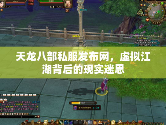 天龙八部私服发布网，虚拟江湖背后的现实迷思