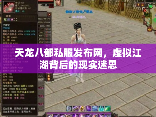 天龙八部私服发布网，虚拟江湖背后的现实迷思