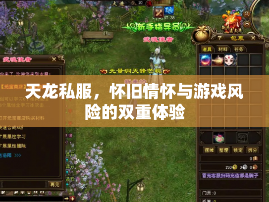 天龙私服，怀旧情怀与游戏风险的双重体验