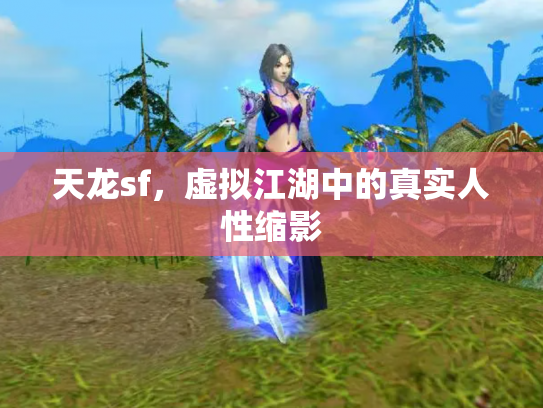 天龙sf，虚拟江湖中的真实人性缩影