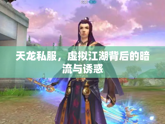 天龙私服，虚拟江湖背后的暗流与诱惑