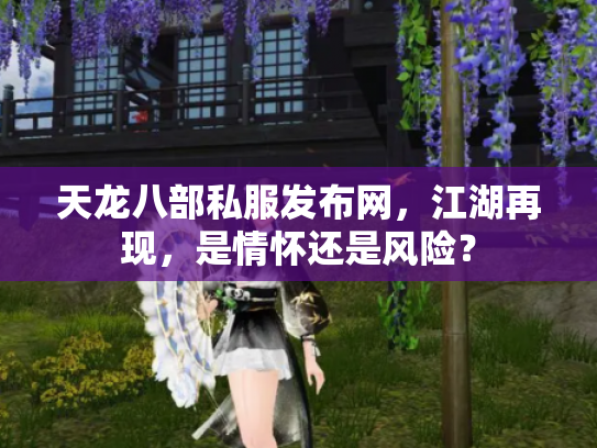 天龙八部私服发布网，江湖再现，是情怀还是风险？