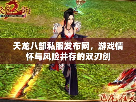 天龙八部私服发布网，游戏情怀与风险并存的双刃剑