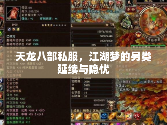 天龙八部私服，江湖梦的另类延续与隐忧
