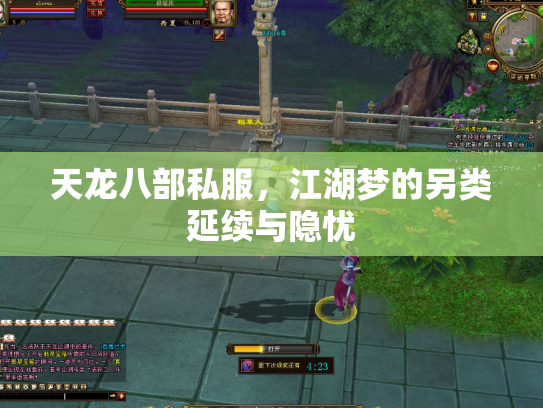 天龙八部私服，江湖梦的另类延续与隐忧