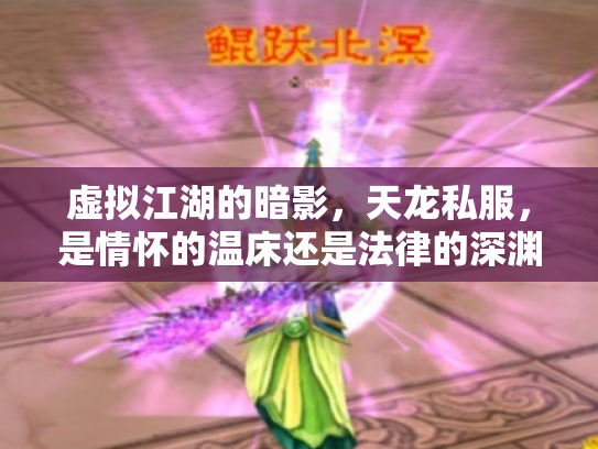 虚拟江湖的暗影，天龙私服，是情怀的温床还是法律的深渊？