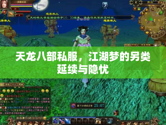 天龙八部私服，江湖梦的另类延续与隐忧
