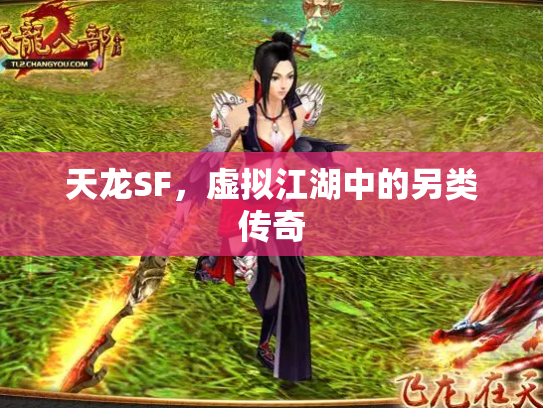 天龙SF，虚拟江湖中的另类传奇