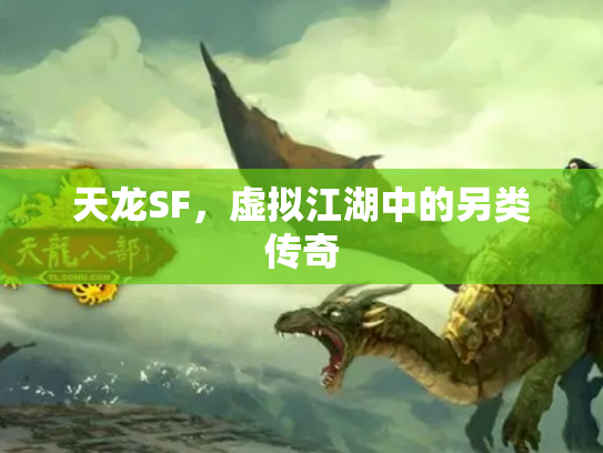 天龙SF，虚拟江湖中的另类传奇