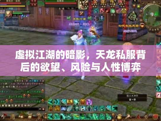 虚拟江湖的暗影，天龙私服背后的欲望、风险与人性博弈