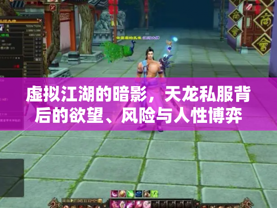 虚拟江湖的暗影，天龙私服背后的欲望、风险与人性博弈