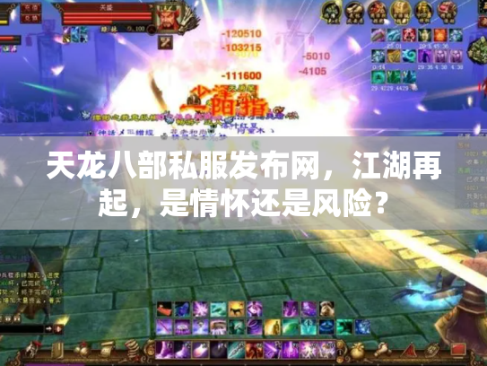 天龙八部私服发布网，江湖再起，是情怀还是风险？