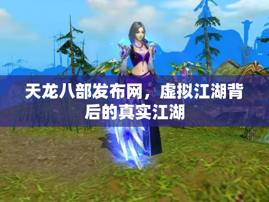 天龙八部发布网，虚拟江湖背后的真实江湖