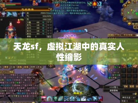 天龙sf，虚拟江湖中的真实人性缩影