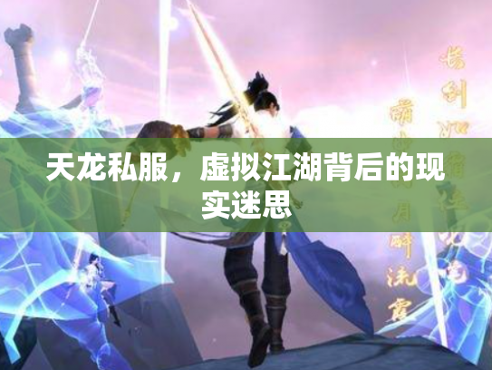 天龙私服，虚拟江湖背后的现实迷思