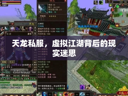 天龙私服，虚拟江湖背后的现实迷思