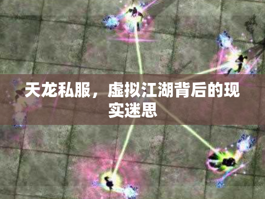 天龙私服，虚拟江湖背后的现实迷思