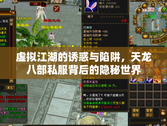虚拟江湖的诱惑与陷阱，天龙八部私服背后的隐秘世界