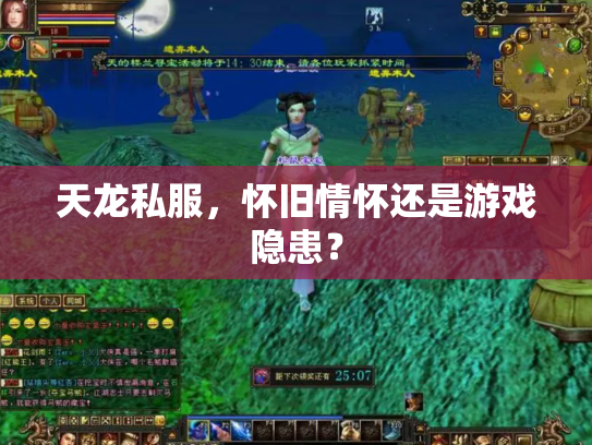 天龙私服，怀旧情怀还是游戏隐患？