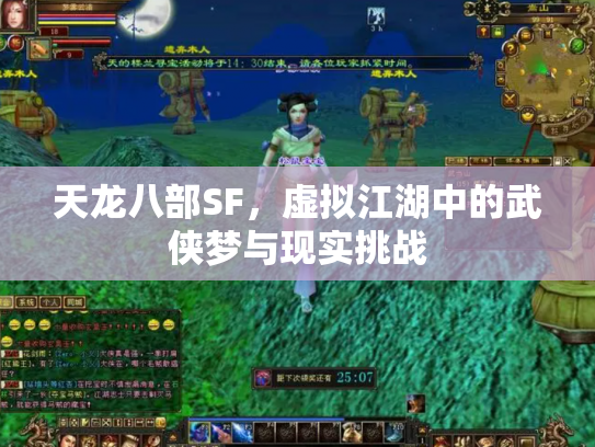 天龙八部SF，虚拟江湖中的武侠梦与现实挑战