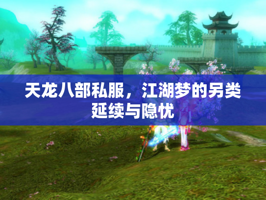 天龙八部私服，江湖梦的另类延续与隐忧
