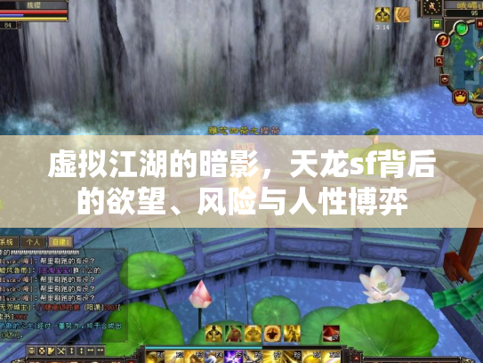虚拟江湖的暗影，天龙sf背后的欲望、风险与人性博弈