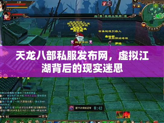 天龙八部私服发布网，虚拟江湖背后的现实迷思