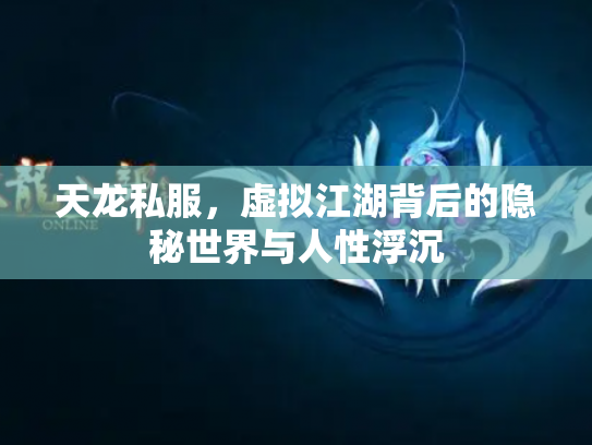 天龙私服，虚拟江湖背后的隐秘世界与人性浮沉
