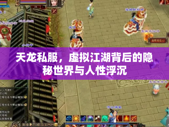 天龙私服，虚拟江湖背后的隐秘世界与人性浮沉