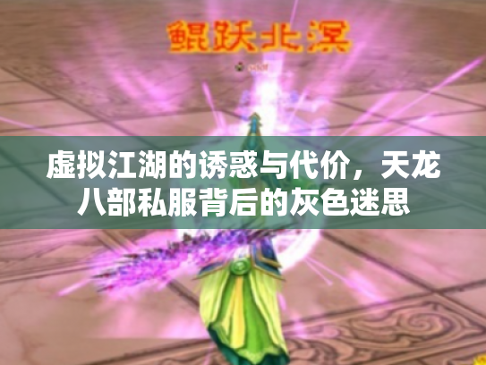 虚拟江湖的诱惑与代价，天龙八部私服背后的灰色迷思