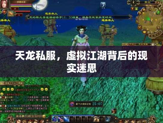 天龙私服，虚拟江湖背后的现实迷思