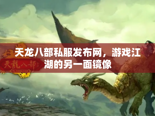 天龙八部私服发布网，游戏江湖的另一面镜像