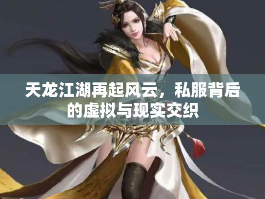 天龙江湖再起风云，私服背后的虚拟与现实交织
