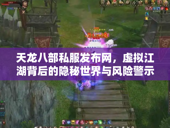 天龙八部私服发布网，虚拟江湖背后的隐秘世界与风险警示