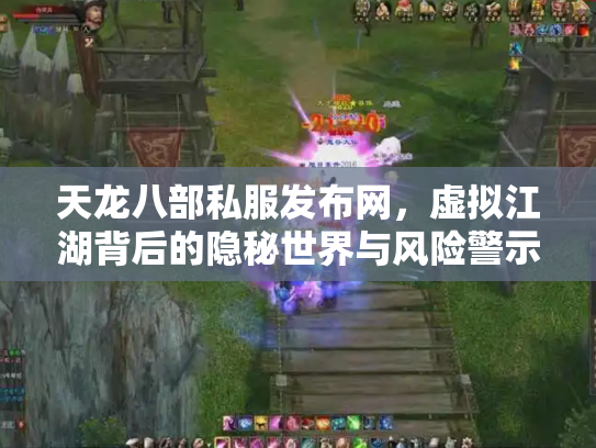 天龙八部私服发布网，虚拟江湖背后的隐秘世界与风险警示