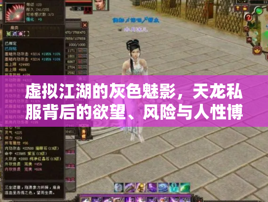 虚拟江湖的灰色魅影，天龙私服背后的欲望、风险与人性博弈