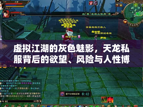 虚拟江湖的灰色魅影，天龙私服背后的欲望、风险与人性博弈